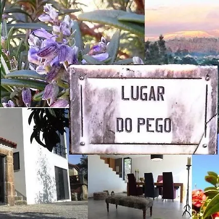 Mit Terrasse Tondela